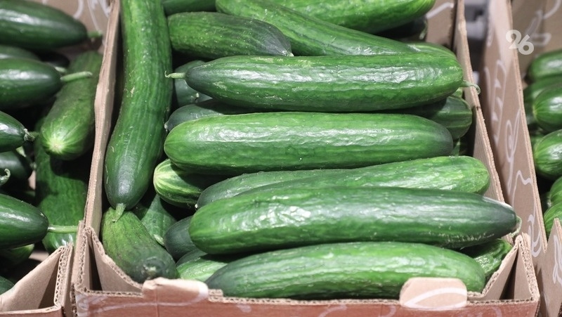      Фото: ИА «Победа26»