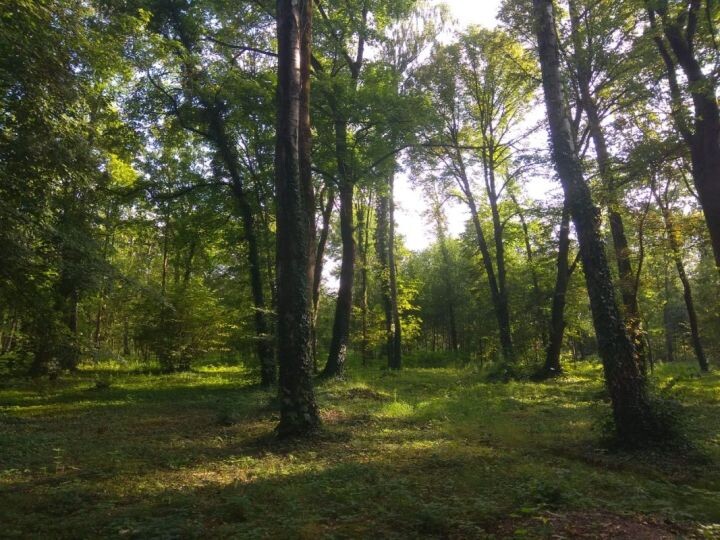    Фото:Наталья Сорокина