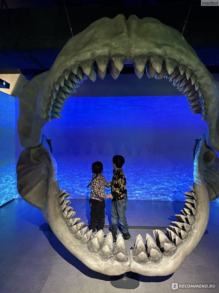 Красота! Фото не мое