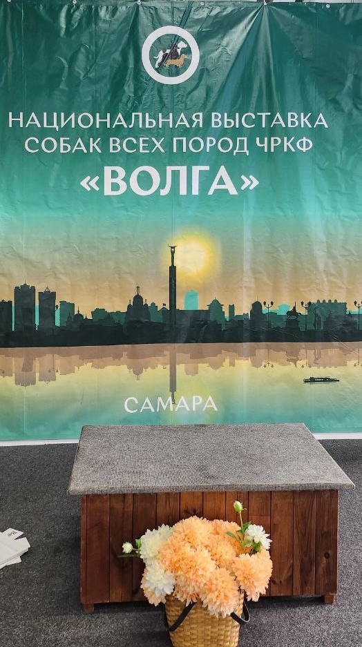 Фото автора.