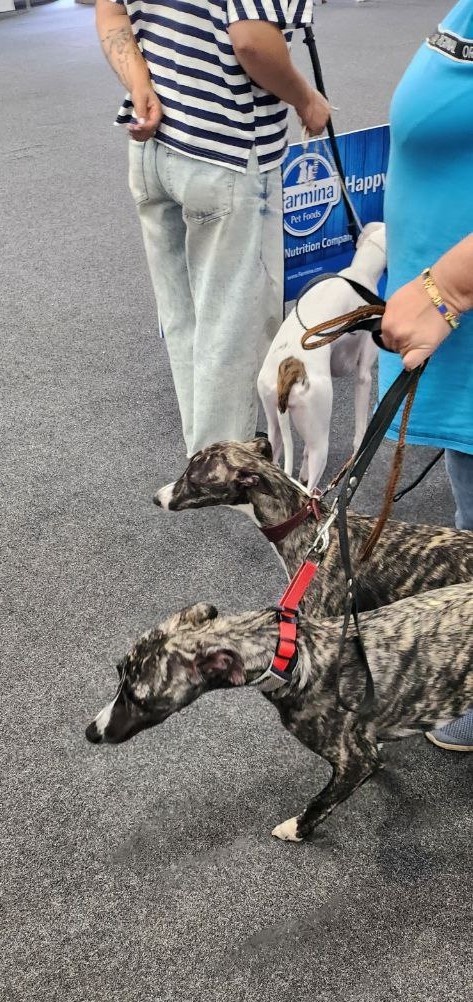 Участники выставки спешат занять первое место. 