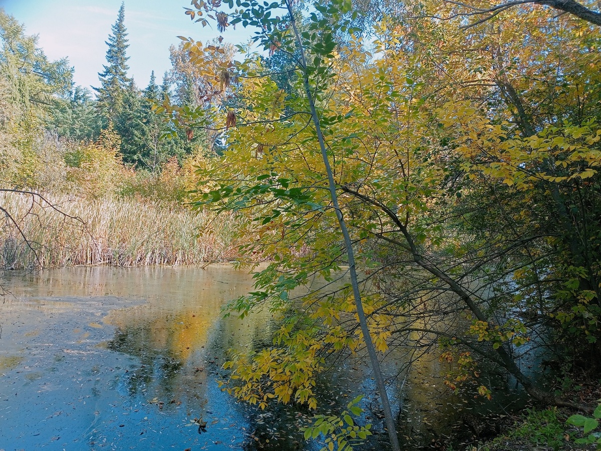    Фото: Марина Куцина