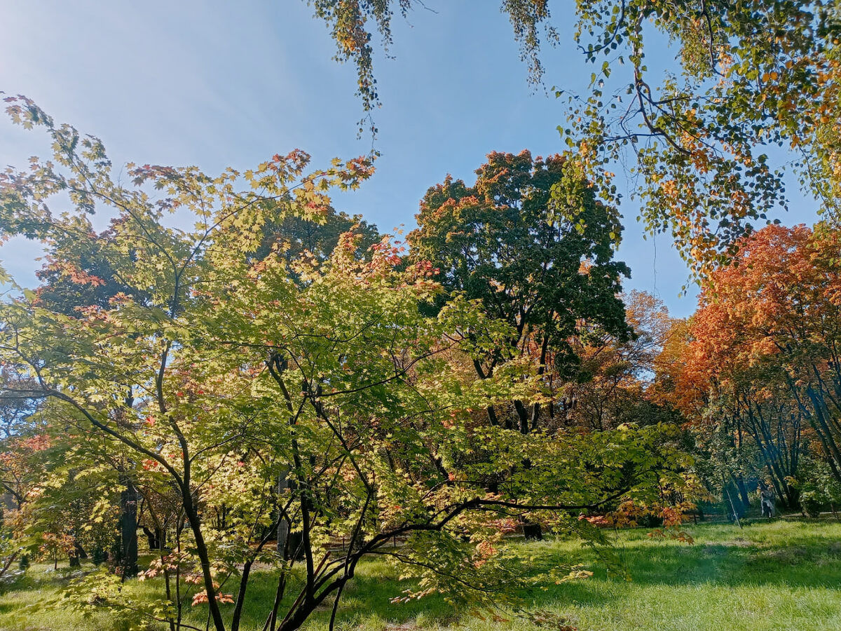    архив samaraonline24.ru