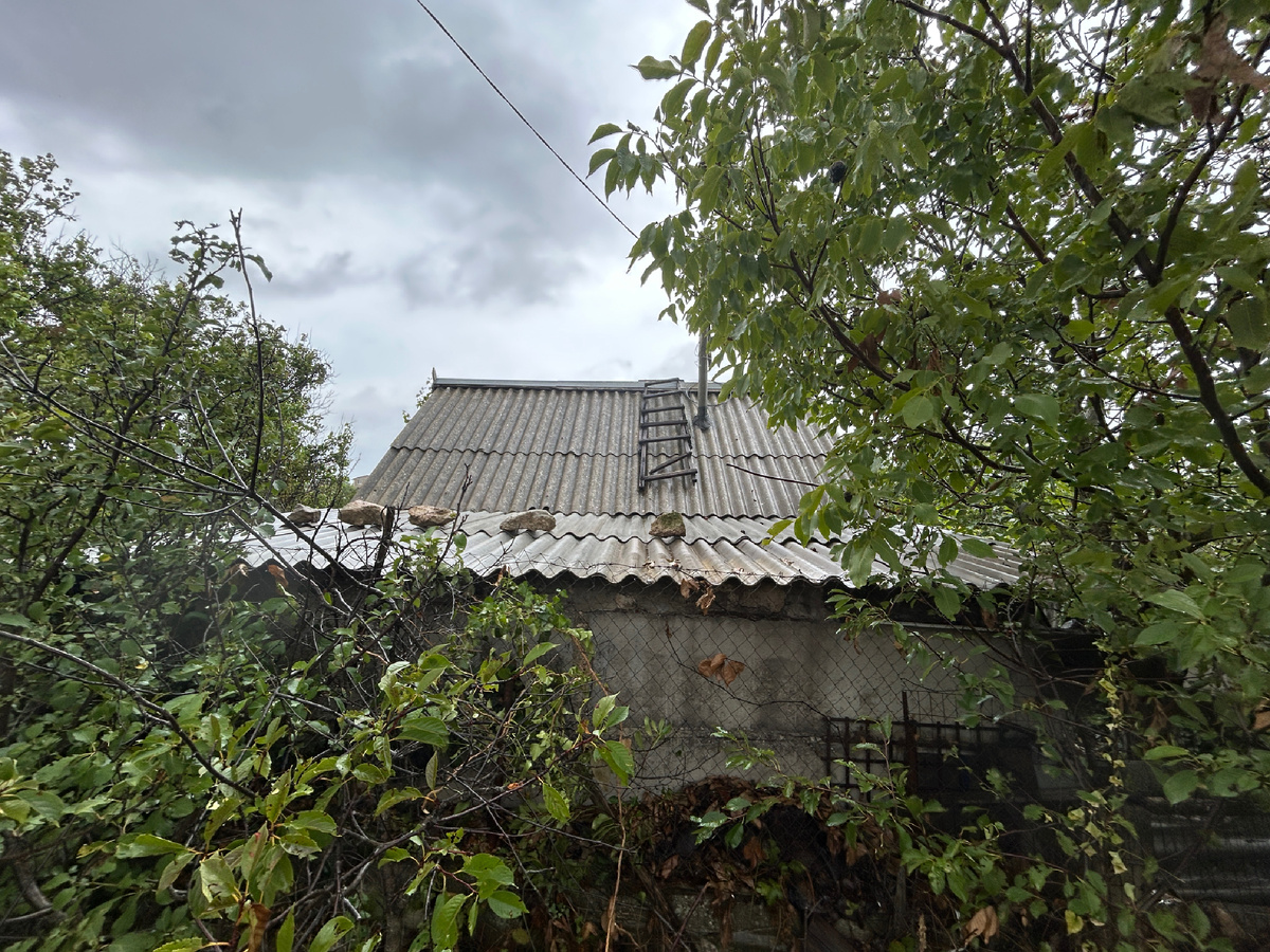 На фото так называемый забор, заросший кустарником