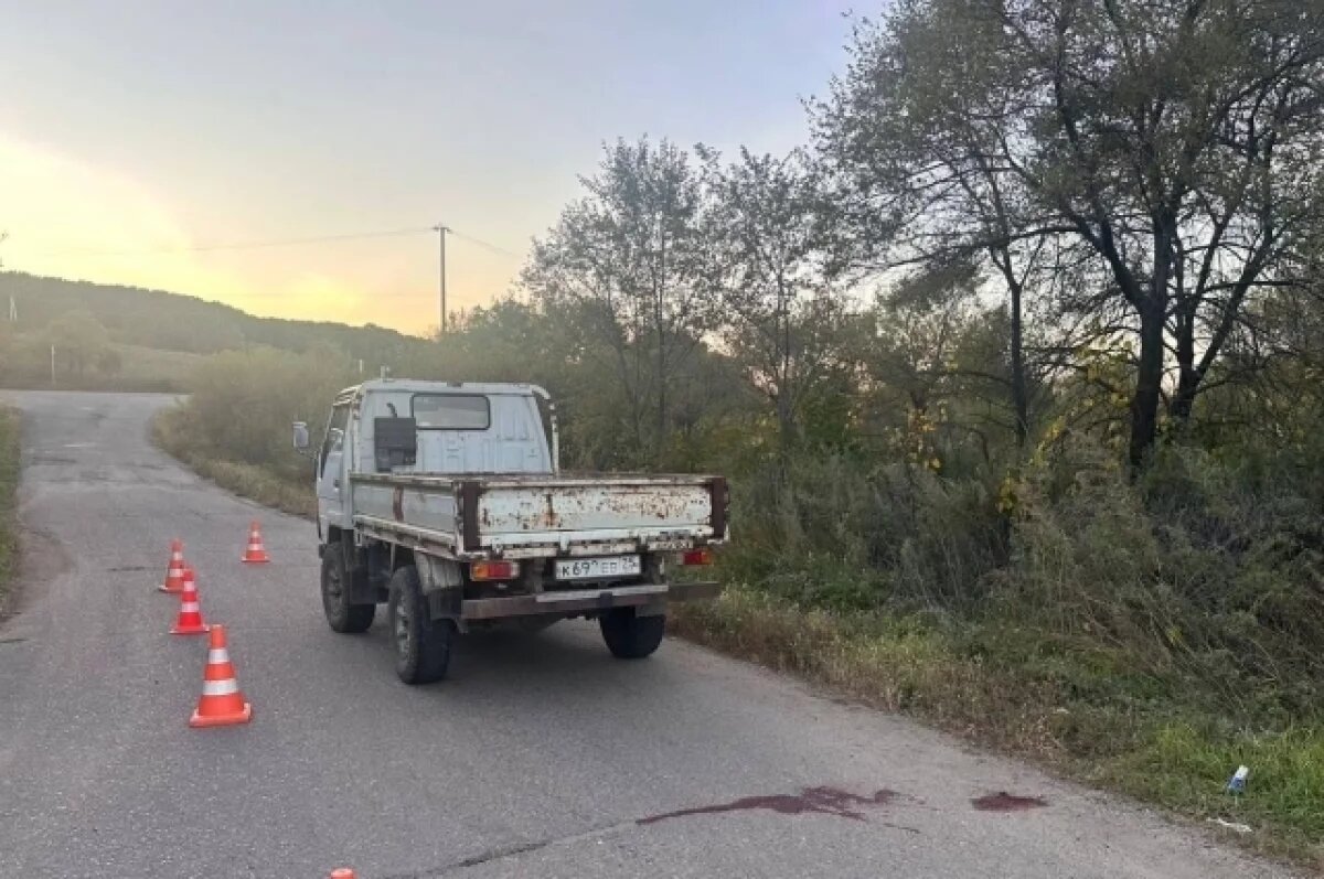    Две девочки выпали на ходу из кузова грузовика в Приморье: одна погибла