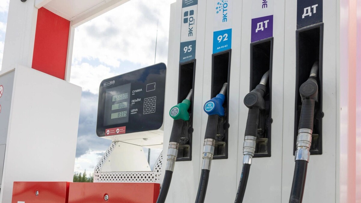    Фото: Федор Воронов/«Ямал-Медиа»