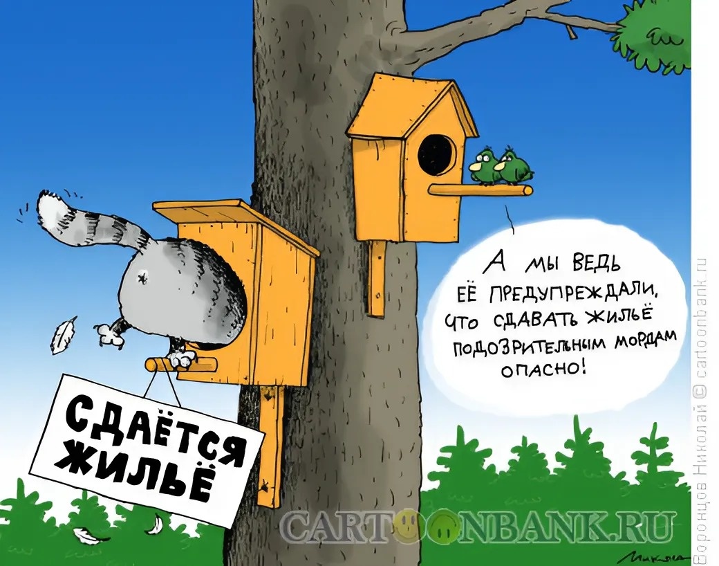 Воронцов Николай (Аренда)