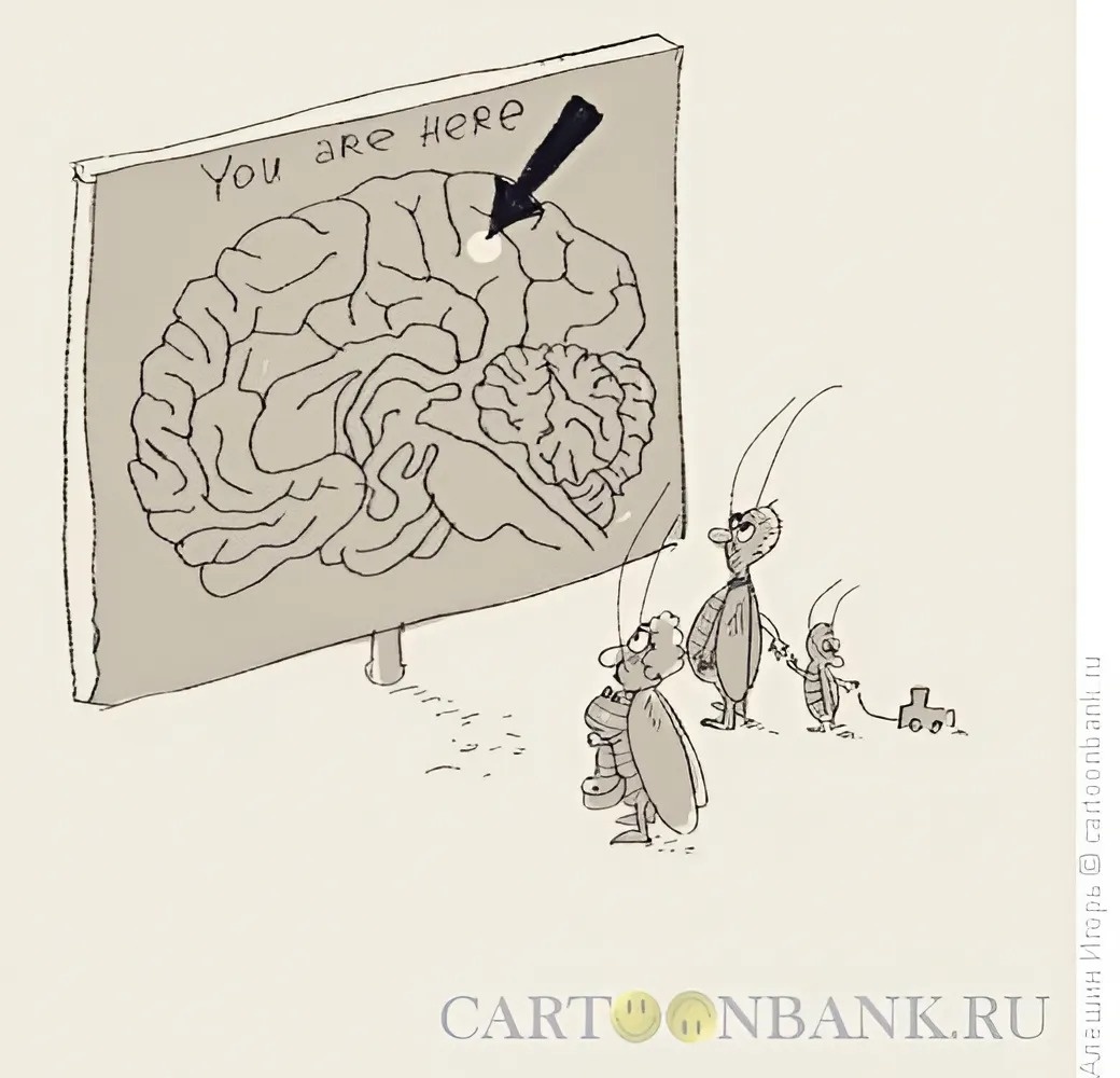 Алёшин Игорь (вы находитесь здесь)