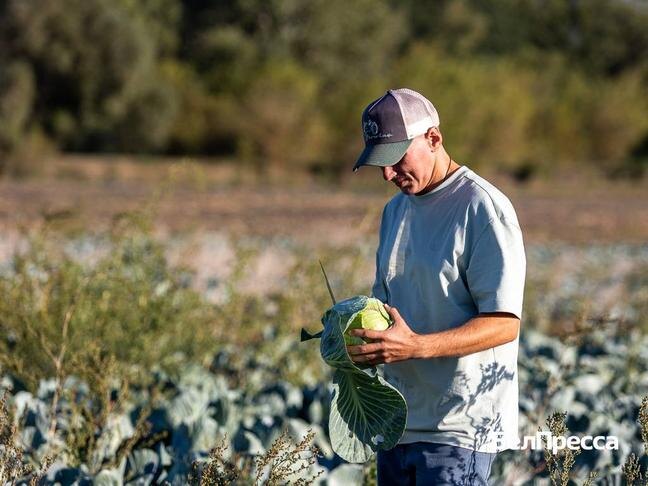 Фото: Алексей Дацковский (архив)