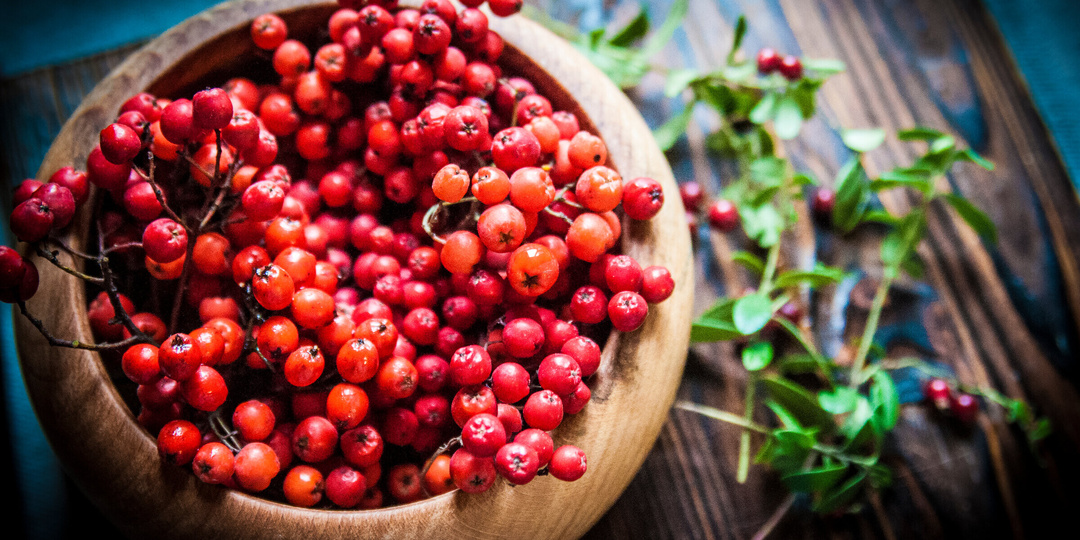 А вы любите рябину? Ценная осенняя ягода, которую многие обходят стороной