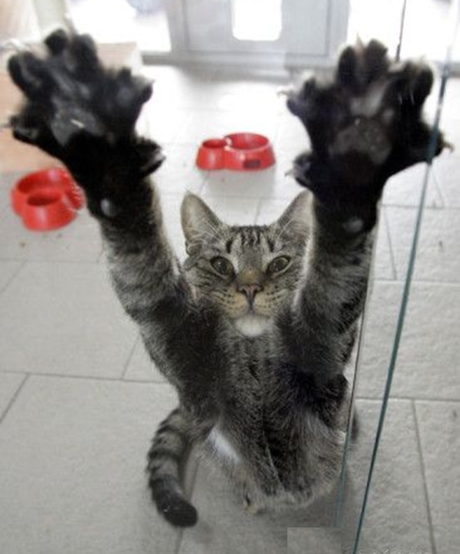 Фото из свободных источников