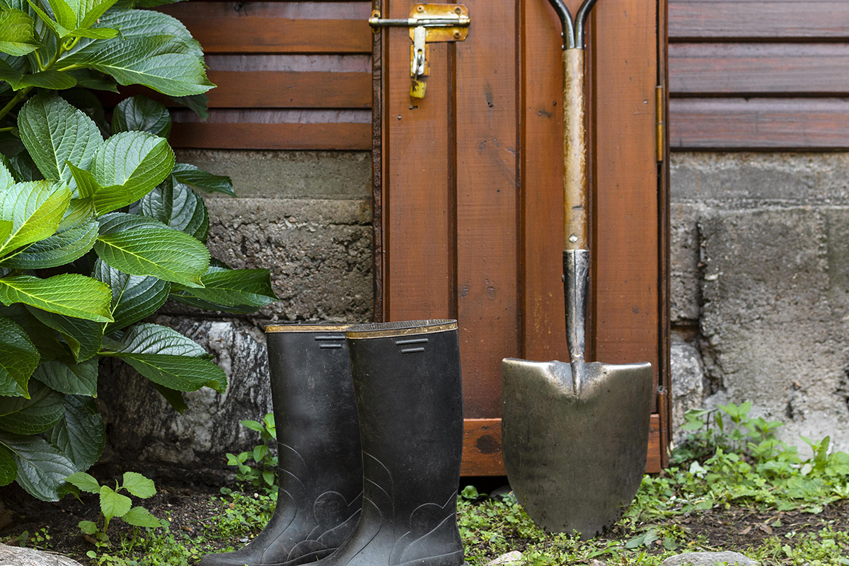 Иллюстративное фото freepik