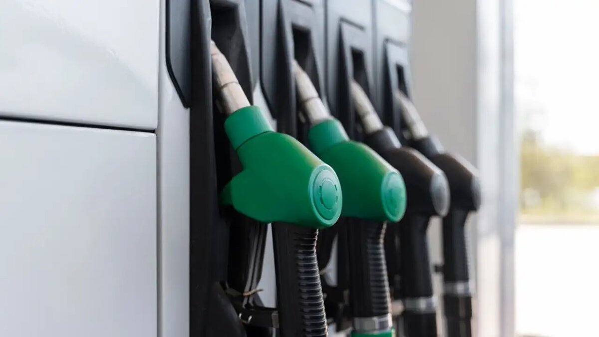    Заправка. © ru.freepik.com