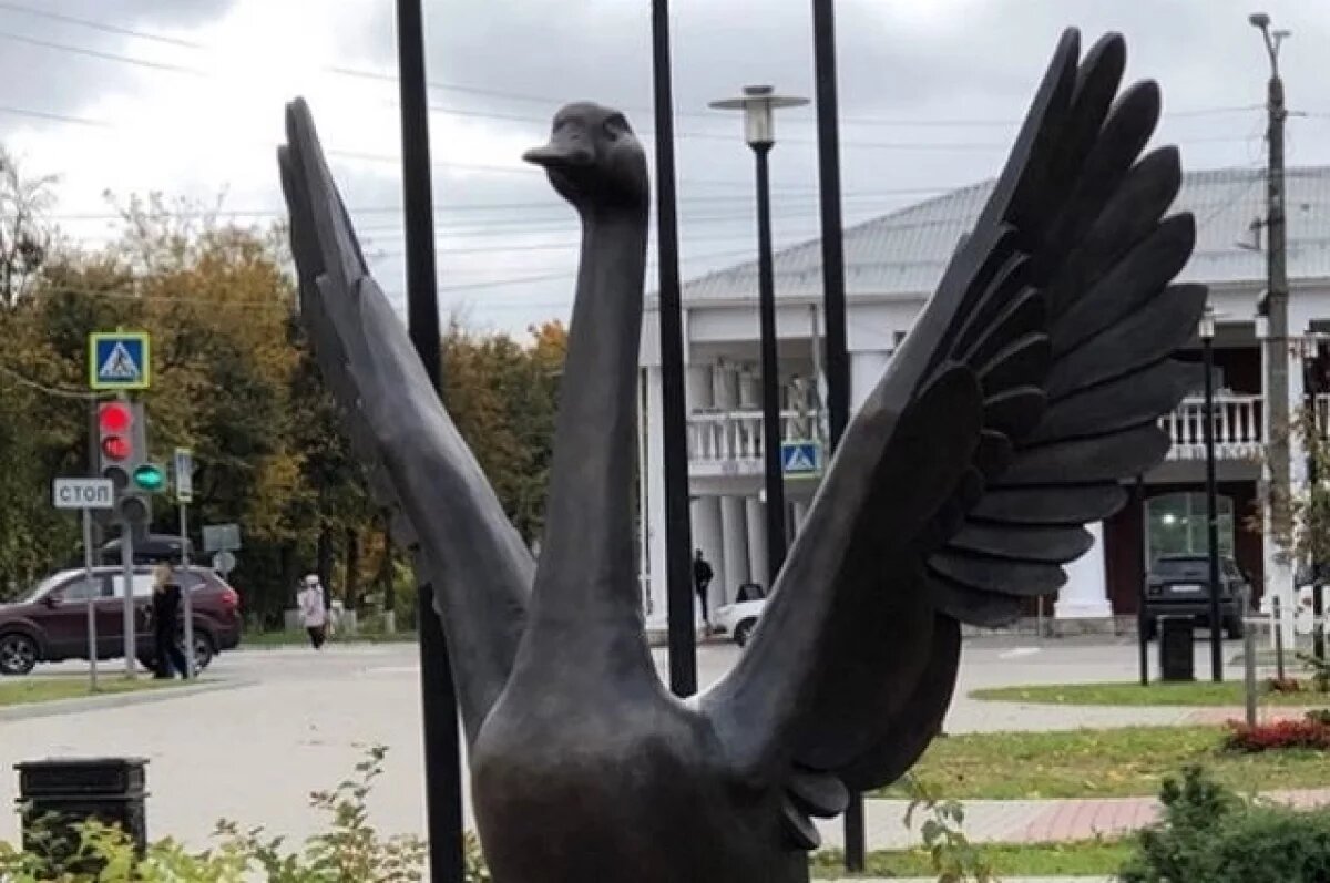    Бронзовый гусь украсил городскую площадь Гусь-Хрустального