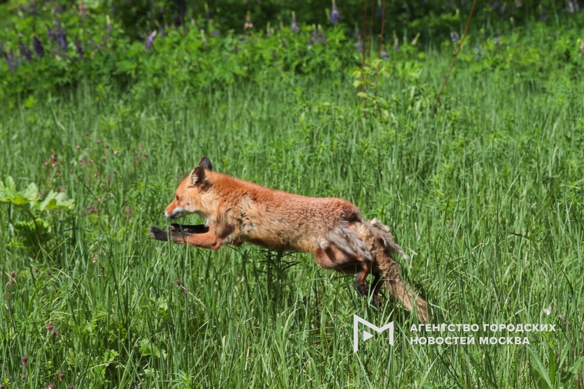 Фотограф: Василий Кузьмичёнок