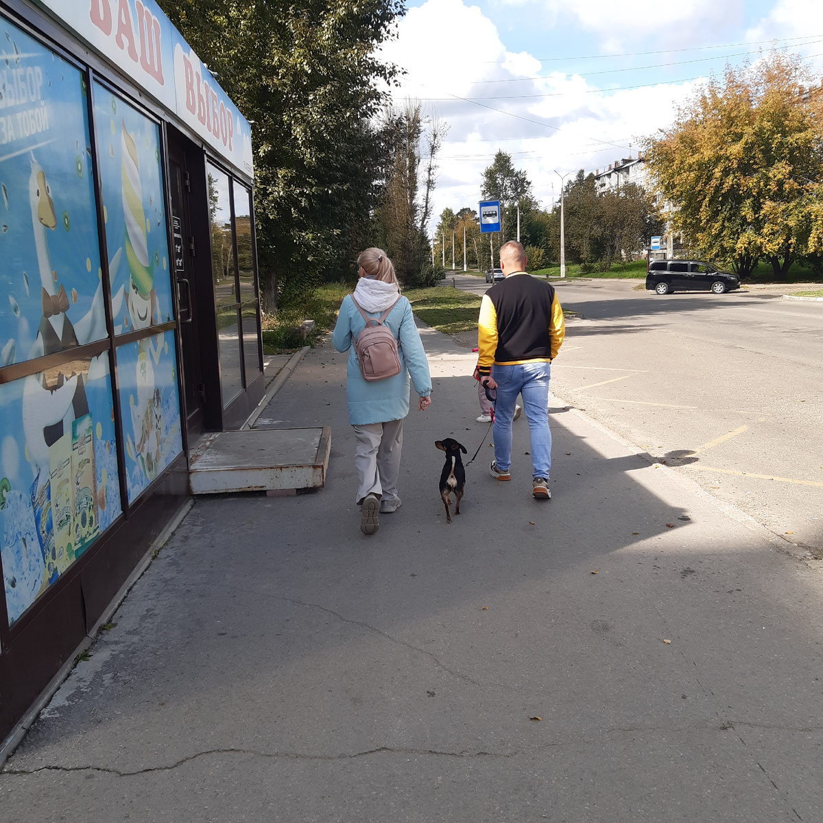 Собаки нашего города, которые...