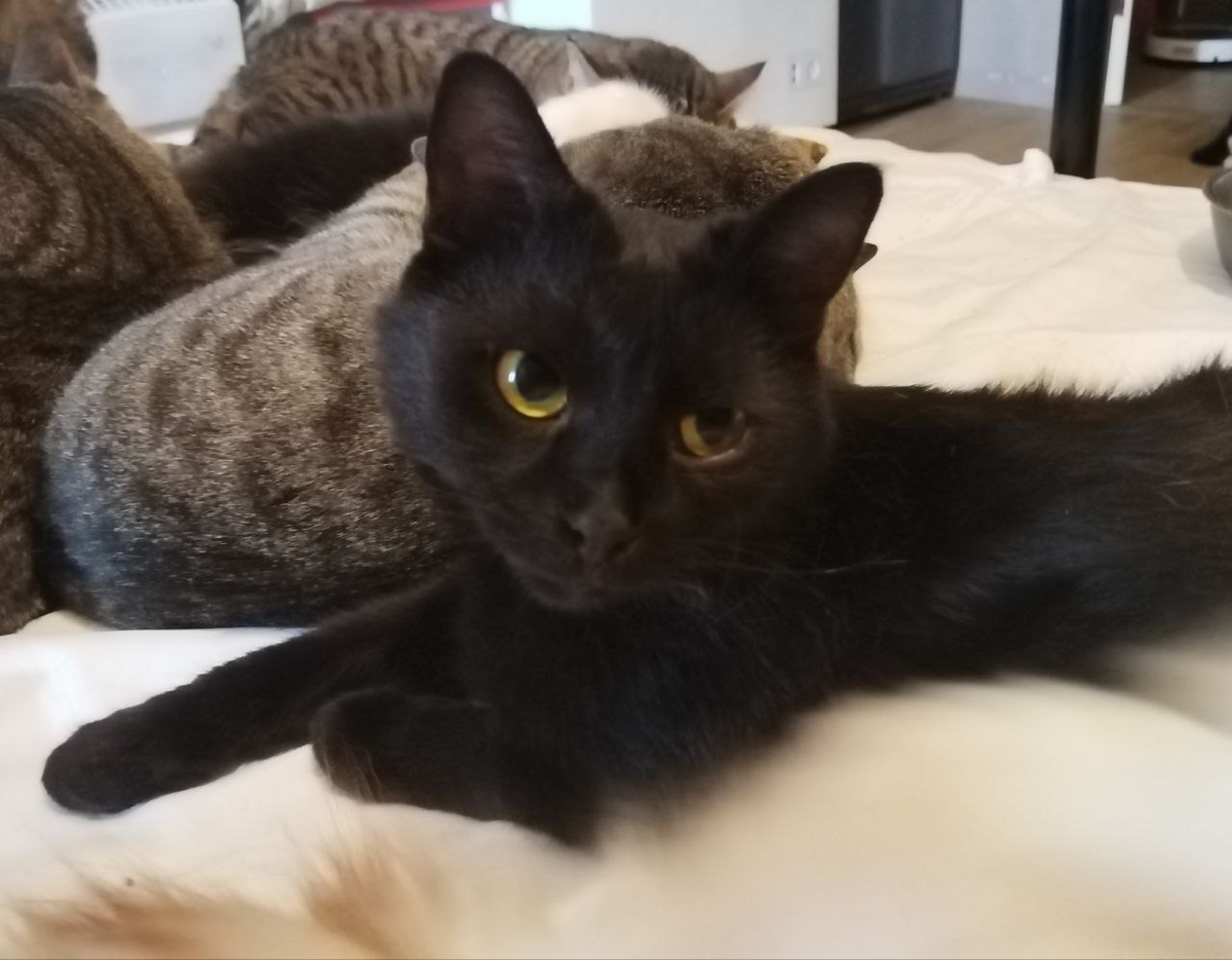 Думаете шанс есть?