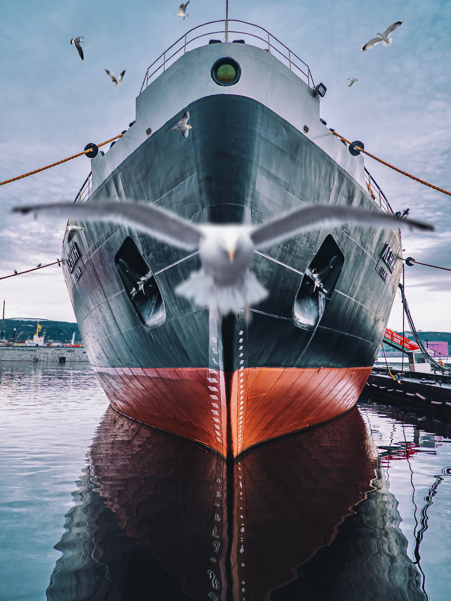 Автор: Алексей Моисеев / @partyzzzan