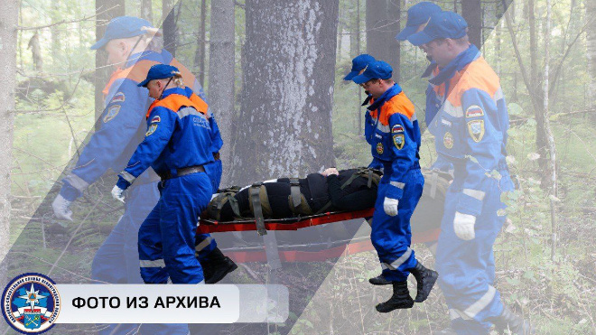 Фото: Аварийно-спасательная служба Ленинградской области, архив