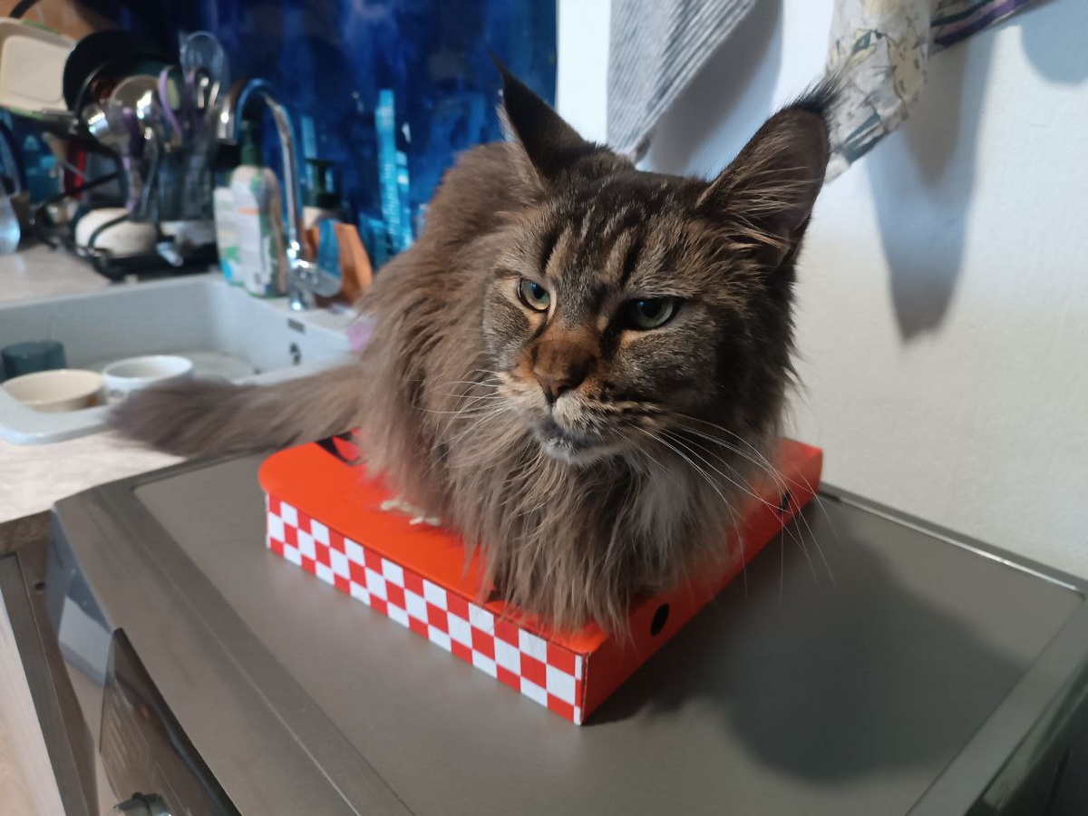 Это я долю свою требую. Не дают!