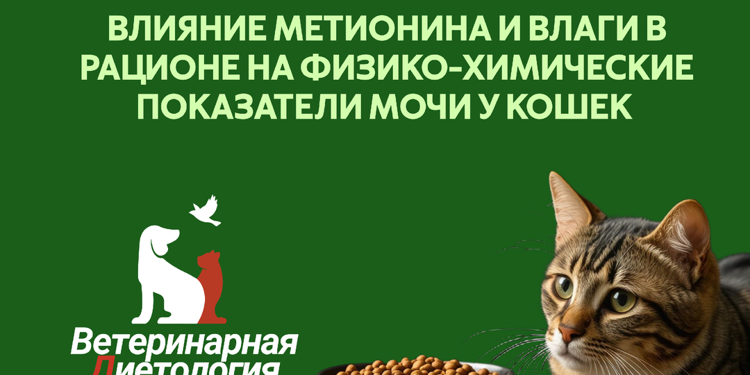 ВЛИЯНИЕ МЕТИОНИНА И ВЛАГИ В РАЦИОНЕ НА ФИЗИКО-ХИМИЧЕСКИЕ ПОКАЗАТЕЛИ МОЧИ У КОШЕК