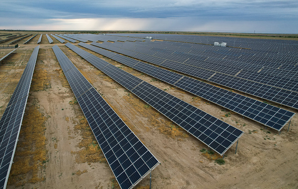 Муса Салгереев/ТАСС