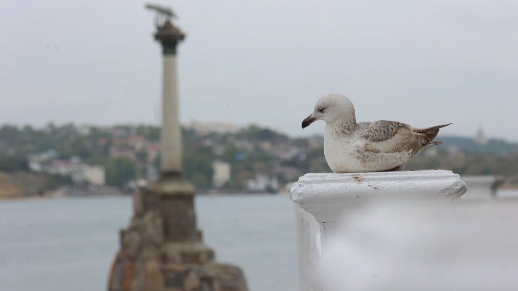    Petrov Sergey/Globallookpress