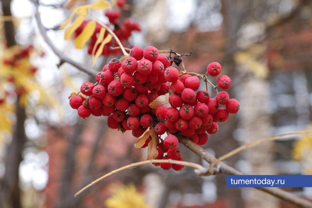  Фото Екатерины Христозовой