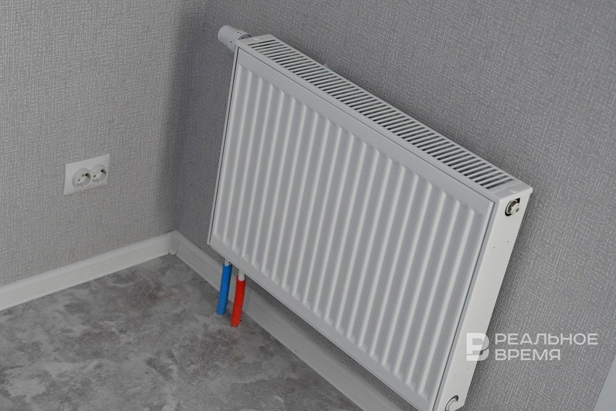   Максим Платонов / realnoevremya.ru