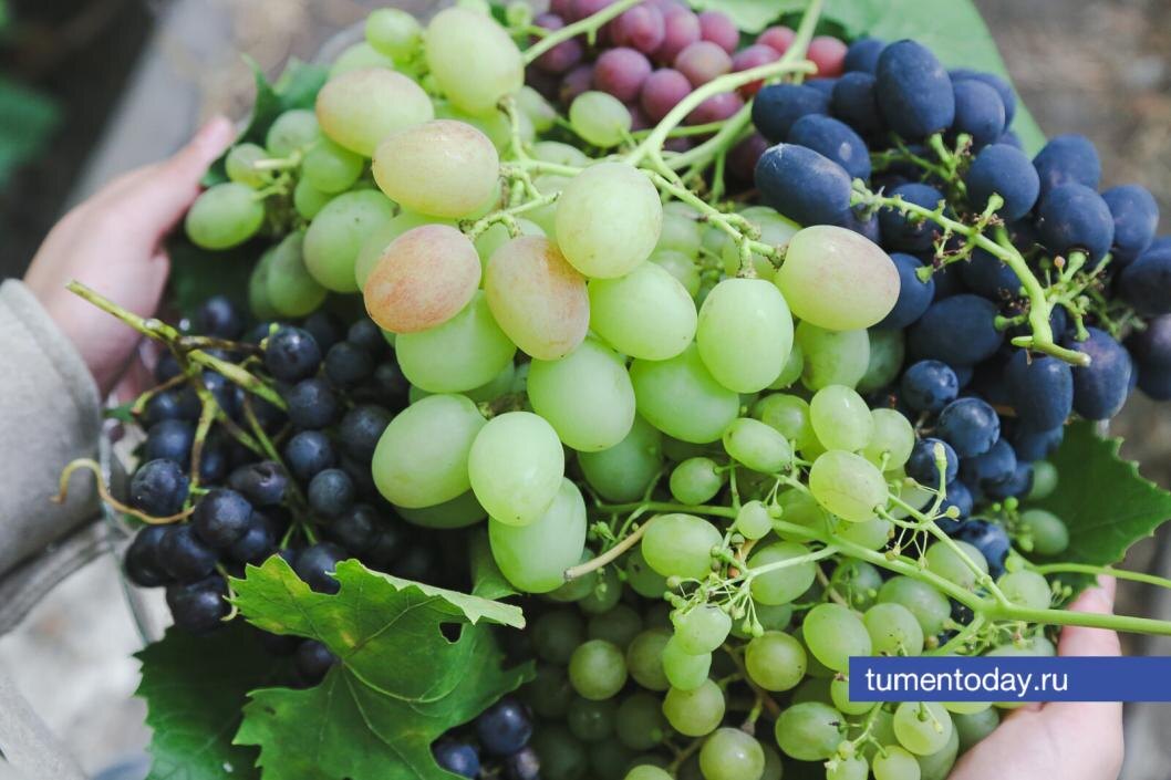 Фото Дениса Моргунова