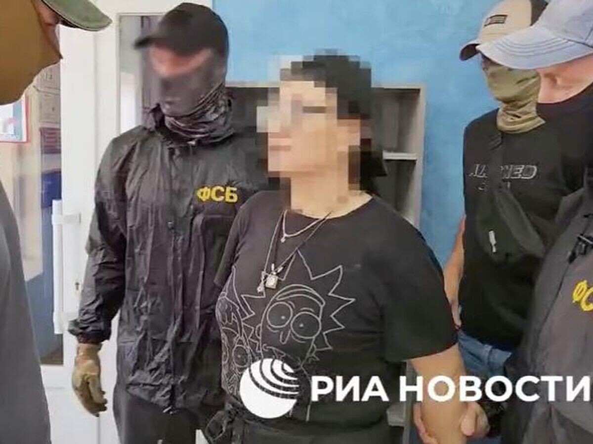    Задержание жительницы Севастополя, передававшей военной разведке Украины фото мест дислокации кораблей Черноморского флота© РИА Новости