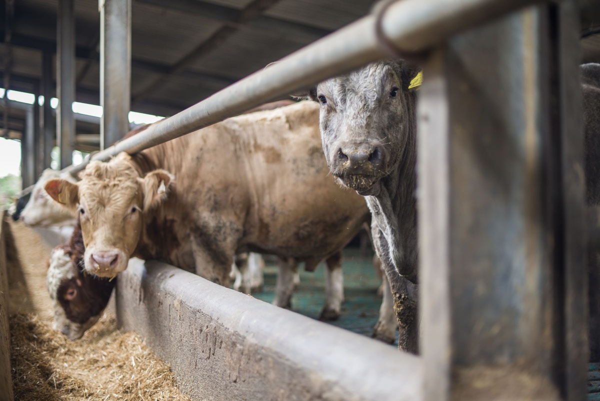 Фото: levers2007 / GettyImages