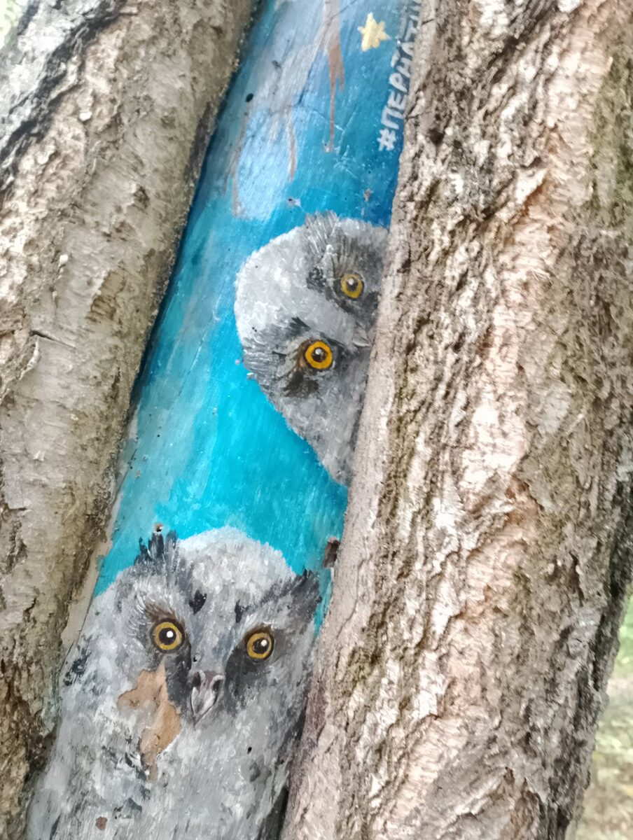 Совы и то умнее "некоторых" - спрятались в дереве и смотрят, уверенные, что их не достать злому человеку