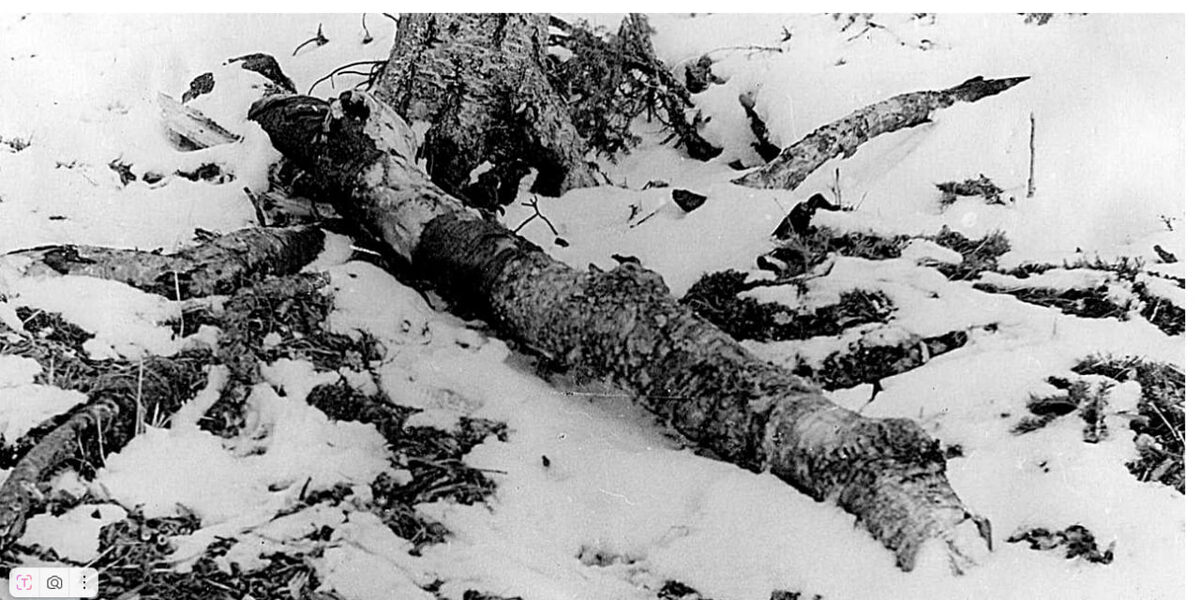 Фото 1  Костер