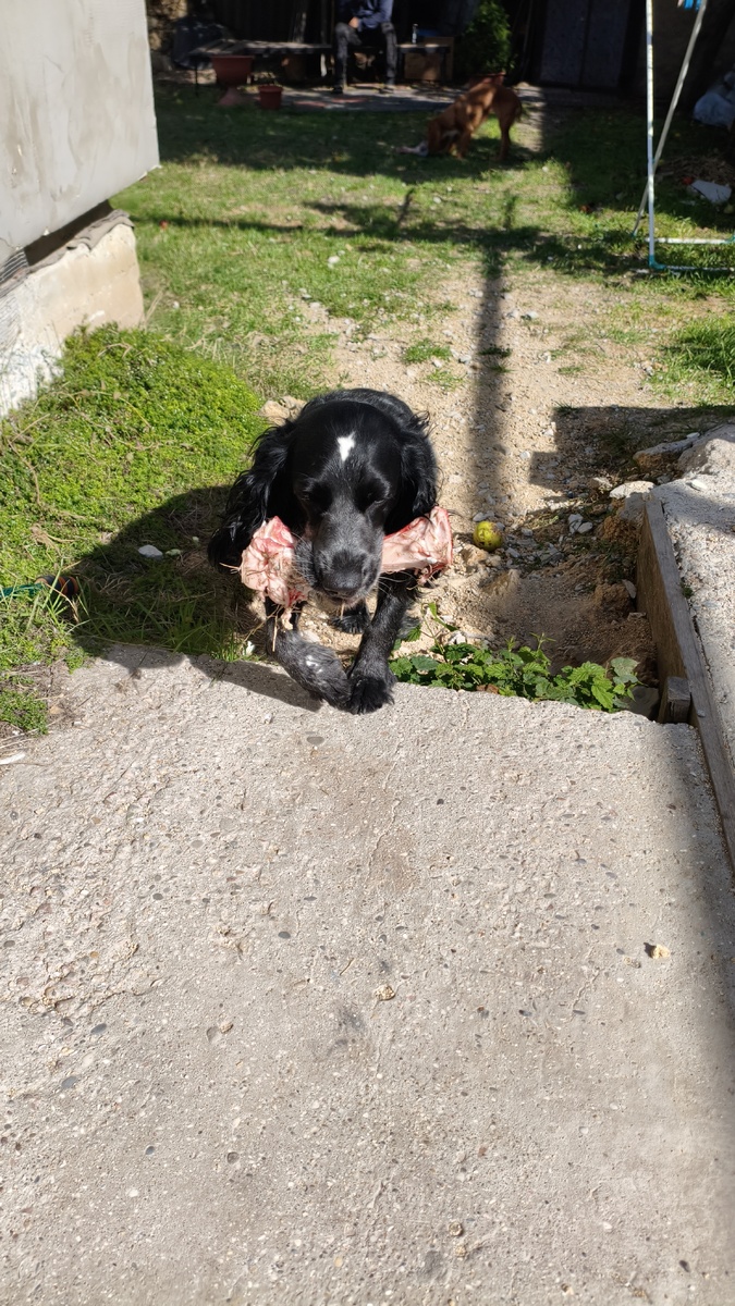 Боня и кость😊