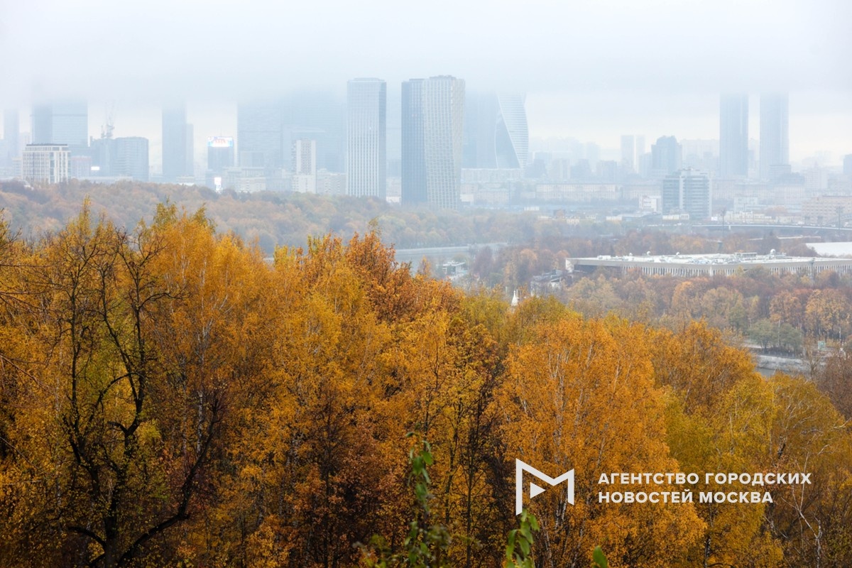 Фотограф: Ярослав Чингаев