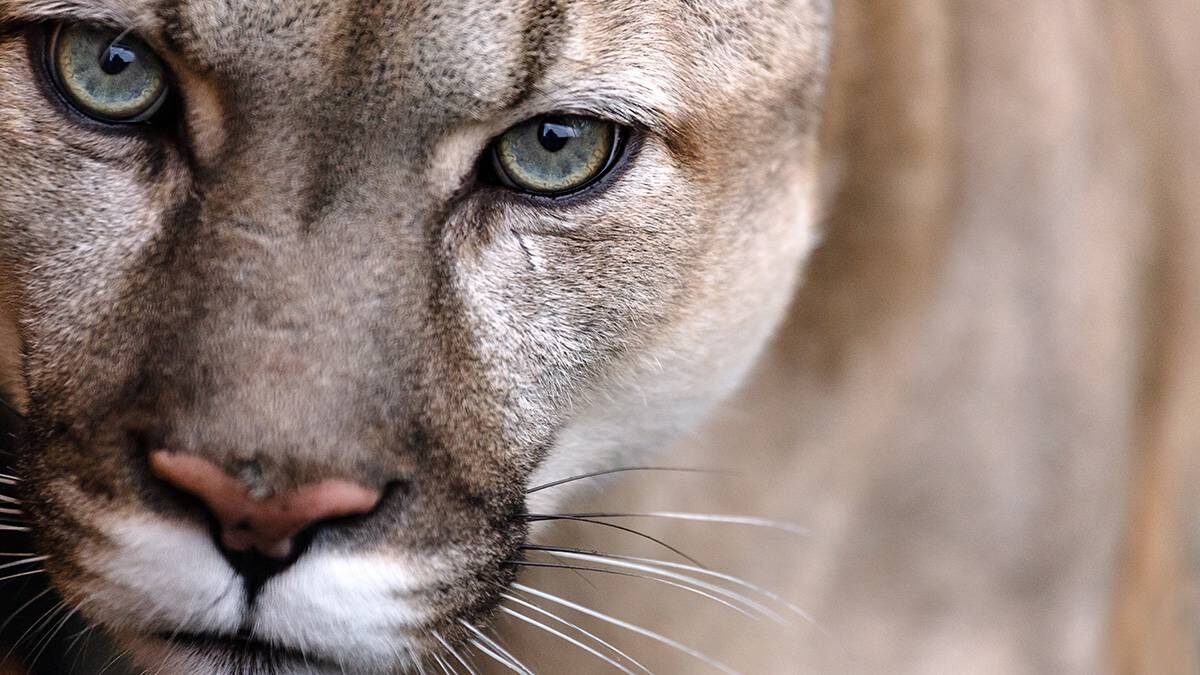    Фото: Shutterstock