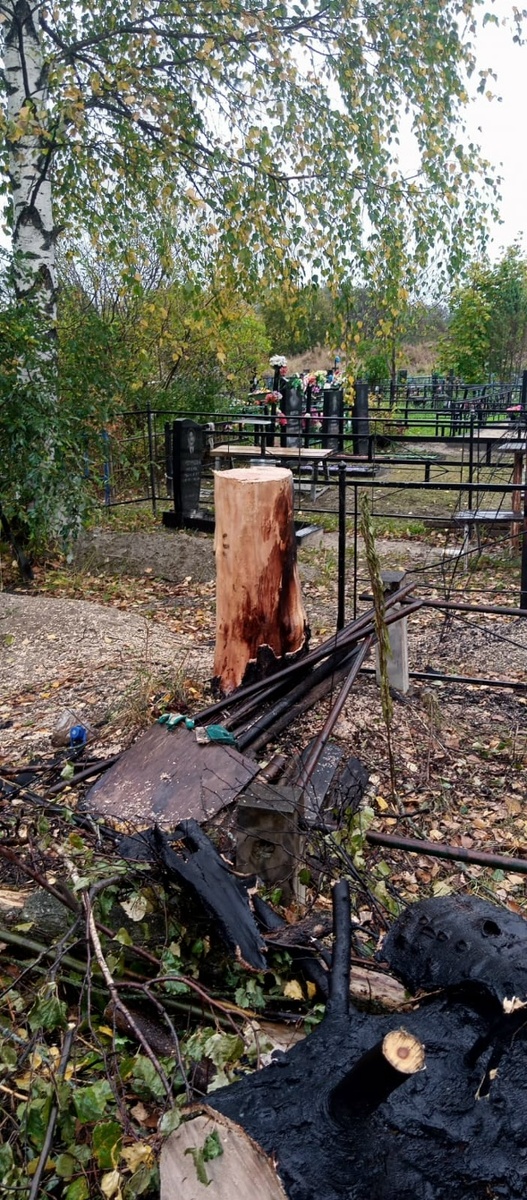    Огненное шоу сняли очевидцы на кладбище в КарелииАдминистрация Шуйского сельского поселения / VK