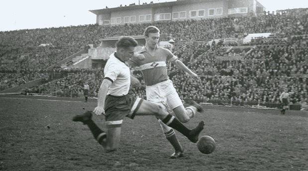 СИгорь Нетто