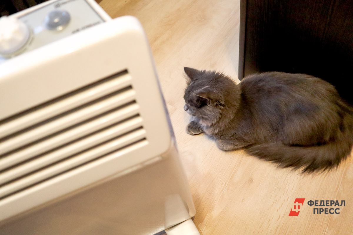 В этом году подача отопления вряд ли стартует в ближайшие две недели.  Фото: Фото: ФедералПресс / Елена Майорова