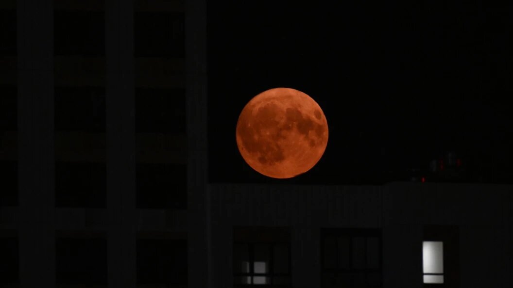    Фото: Komsomolskaya Pravda/Globallookpress