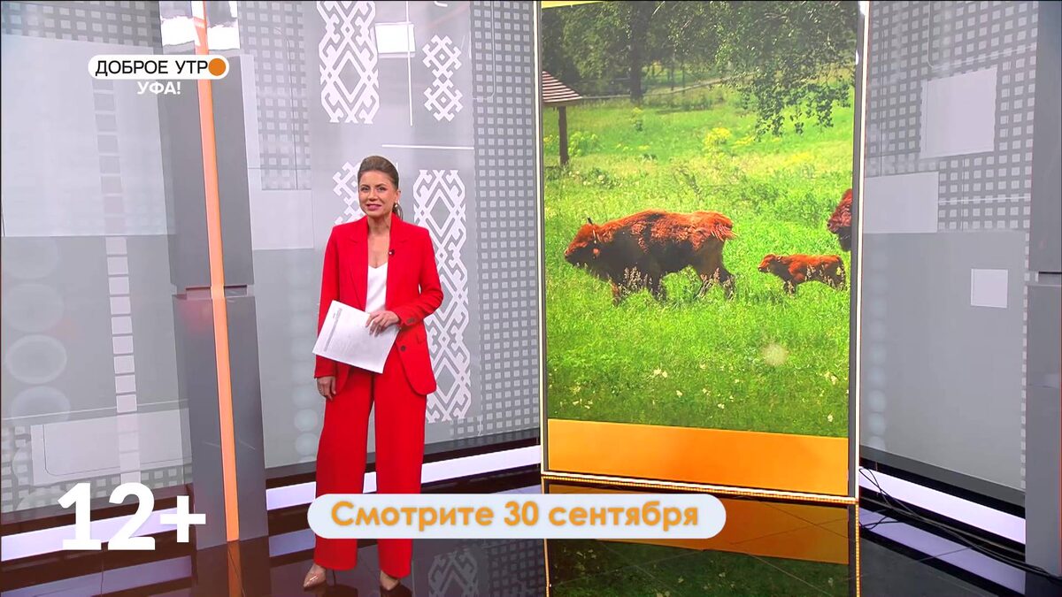    В программе «Доброе утро, Уфа!» расскажут, действительно ли белорусские зубры освоили башкирский язык
