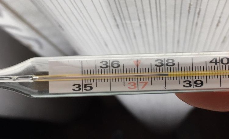     В Курской области из-за ОРВИ на карантин закрыт детский сад