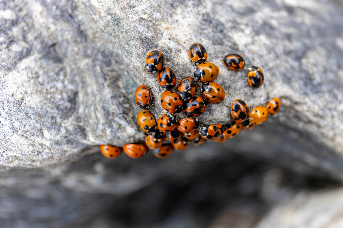 Фото: Shutterstock