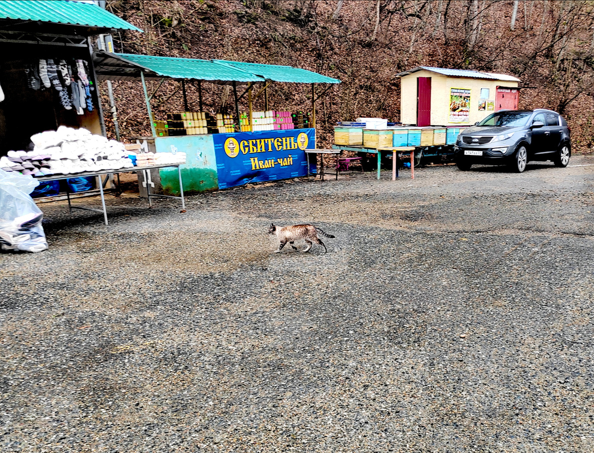 Двухцветный мини-леопард из Гранитного каньона. Фото автора