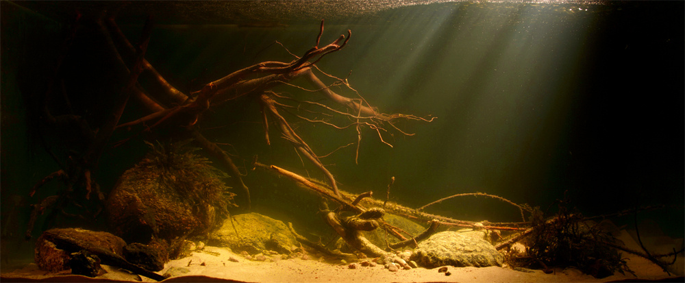 «Река приветная», Вера Гладышенко