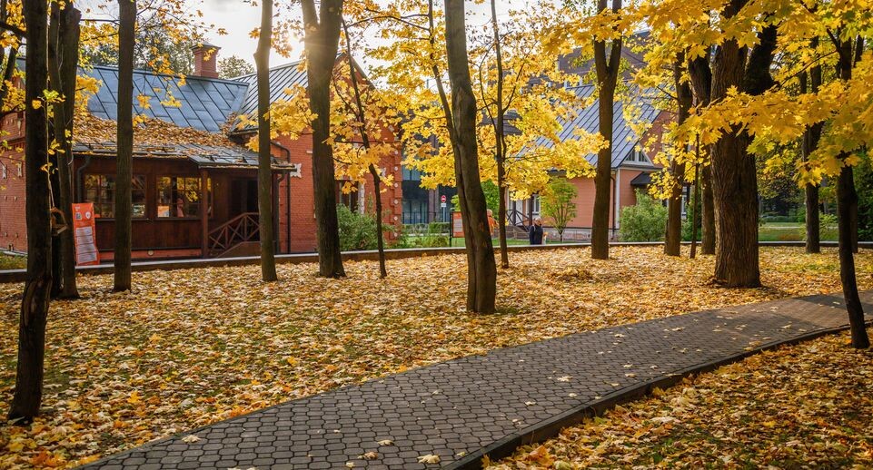    Медиасток.рф