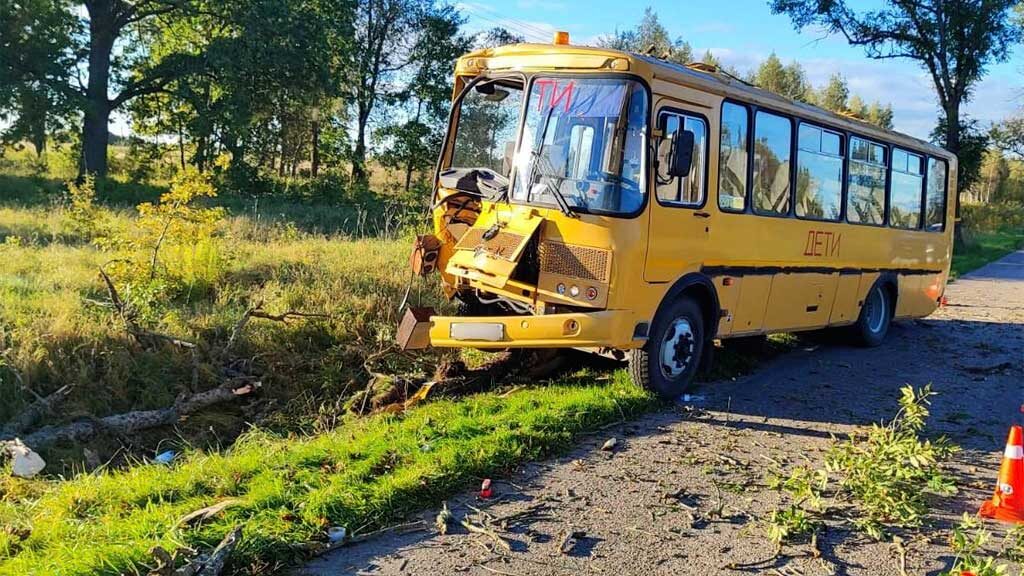   Фото прокуратура Калининградской области