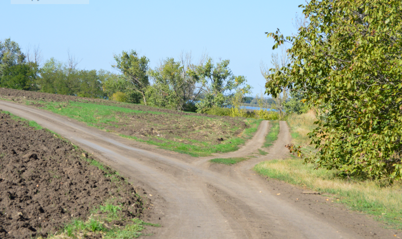 Фото автора. Осень 2025 . Тихий перекрёсток на полях агрофирмы.