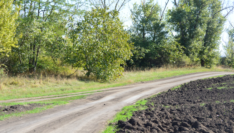 Фото автора. Осень 2025. 